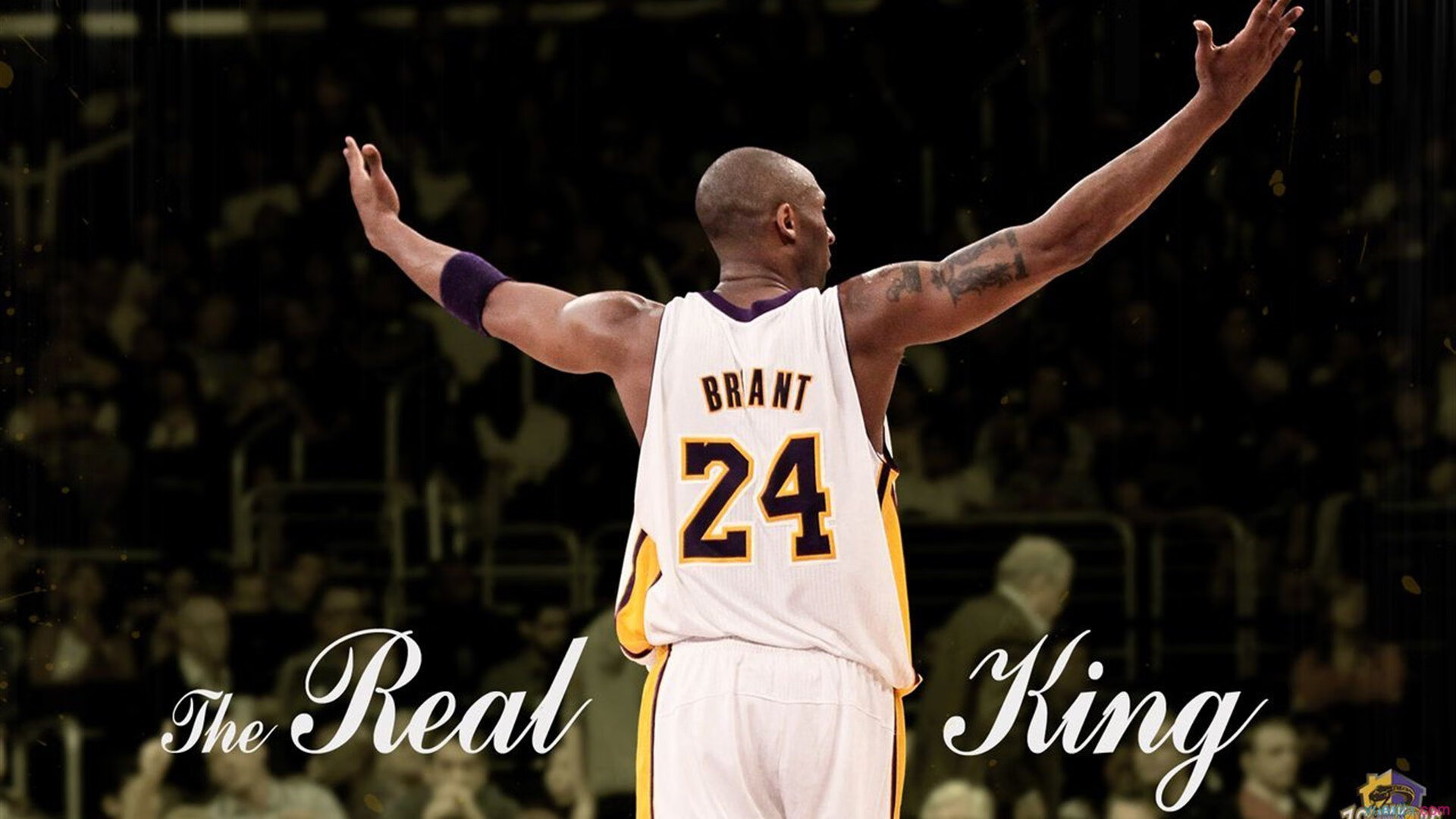 舞台法则，当西亚卡姆遇见快船，巨星试炼场的终极答案