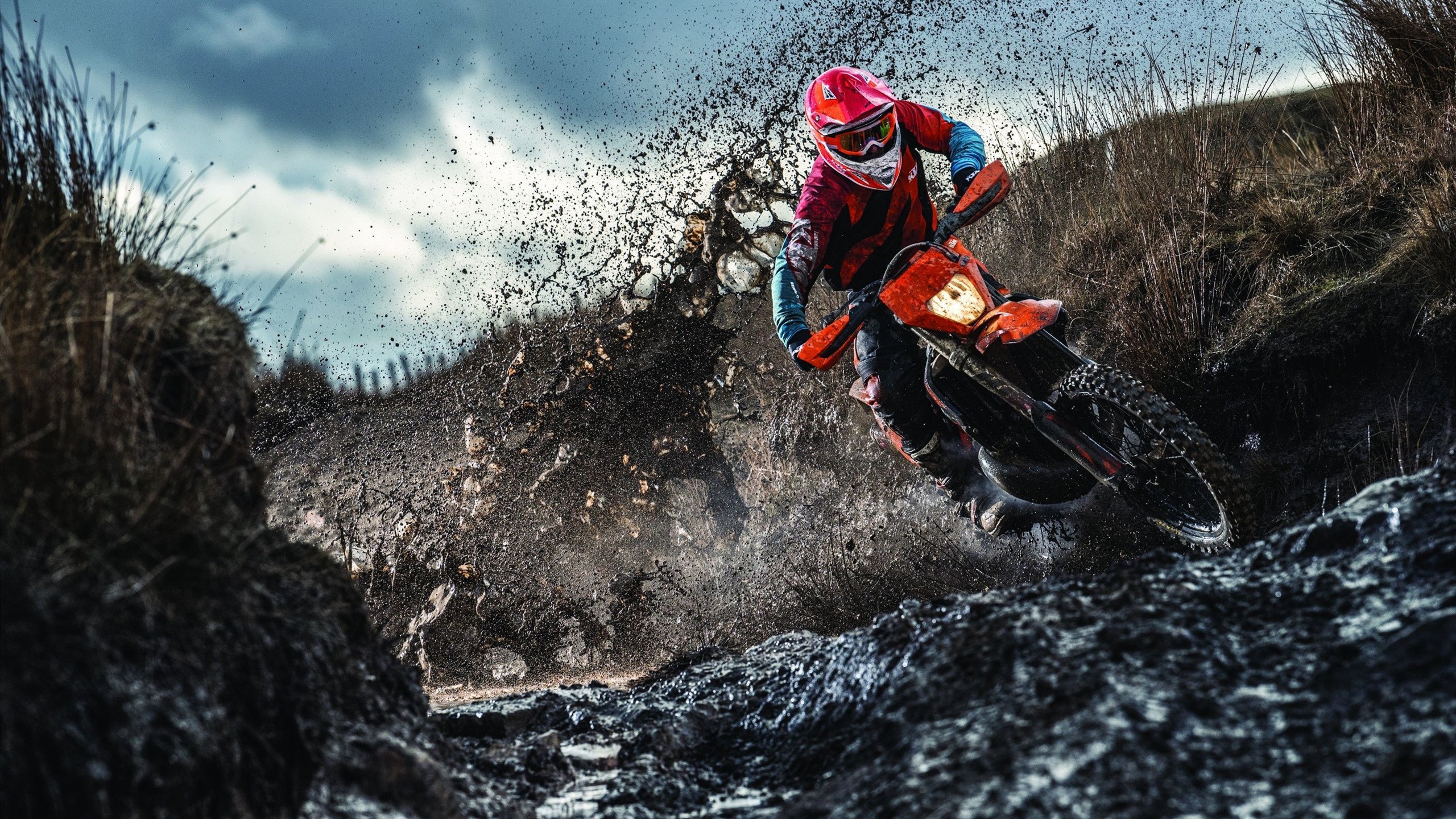 巴黎赛场上的中国红，当波尔点燃赛场，却见证了一场横扫